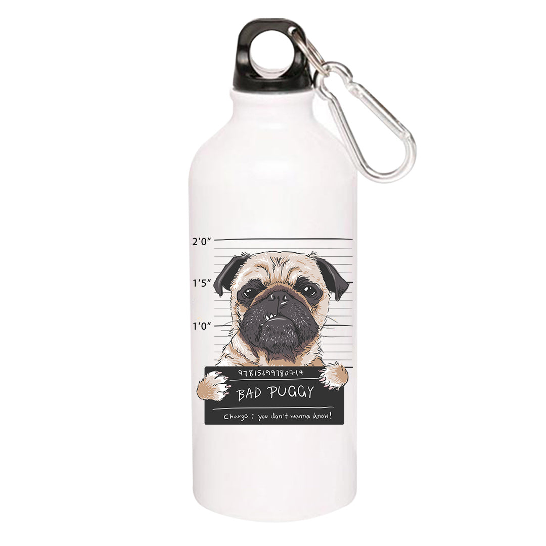 printed bad puggy sipper steel water bottle flask gym shaker printed graphic stylish buy online india the banyan tee tbt men women girls boys unisex