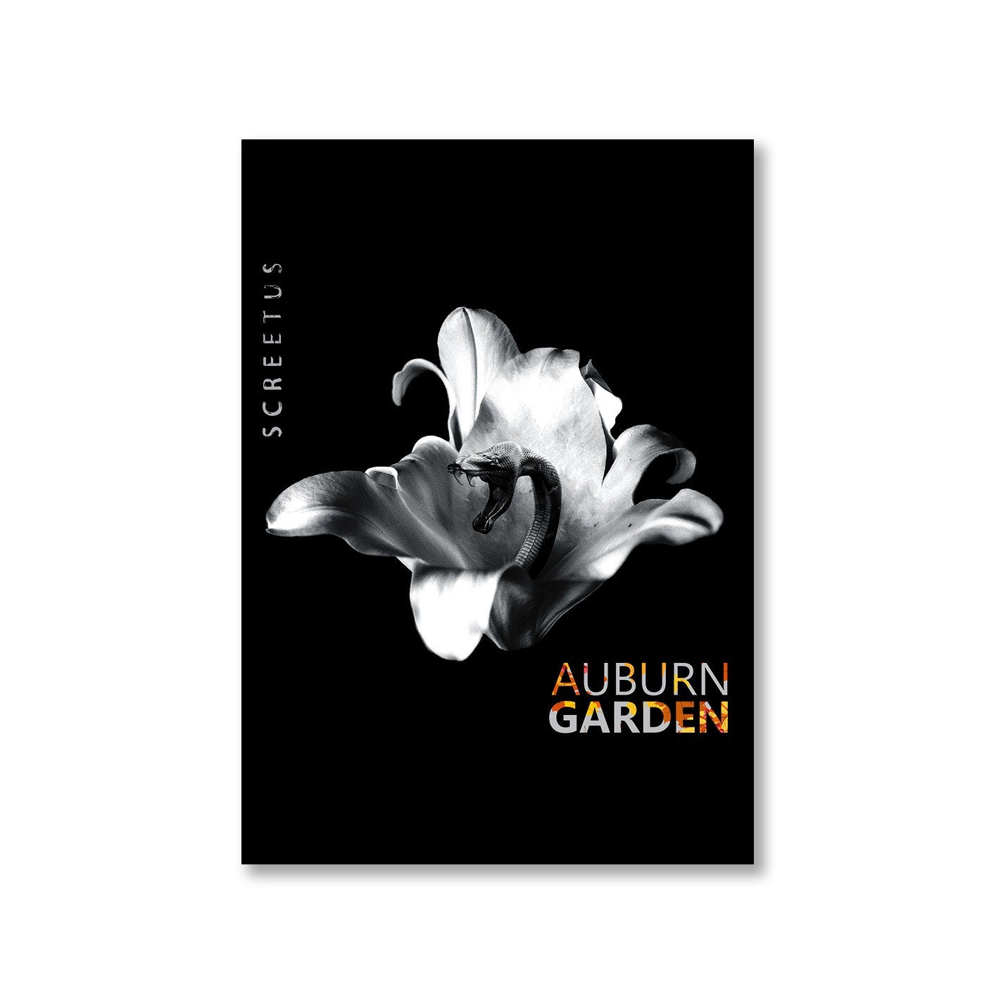 screetus auburn garden poster wall art buy online india the banyan tee tbt a4 