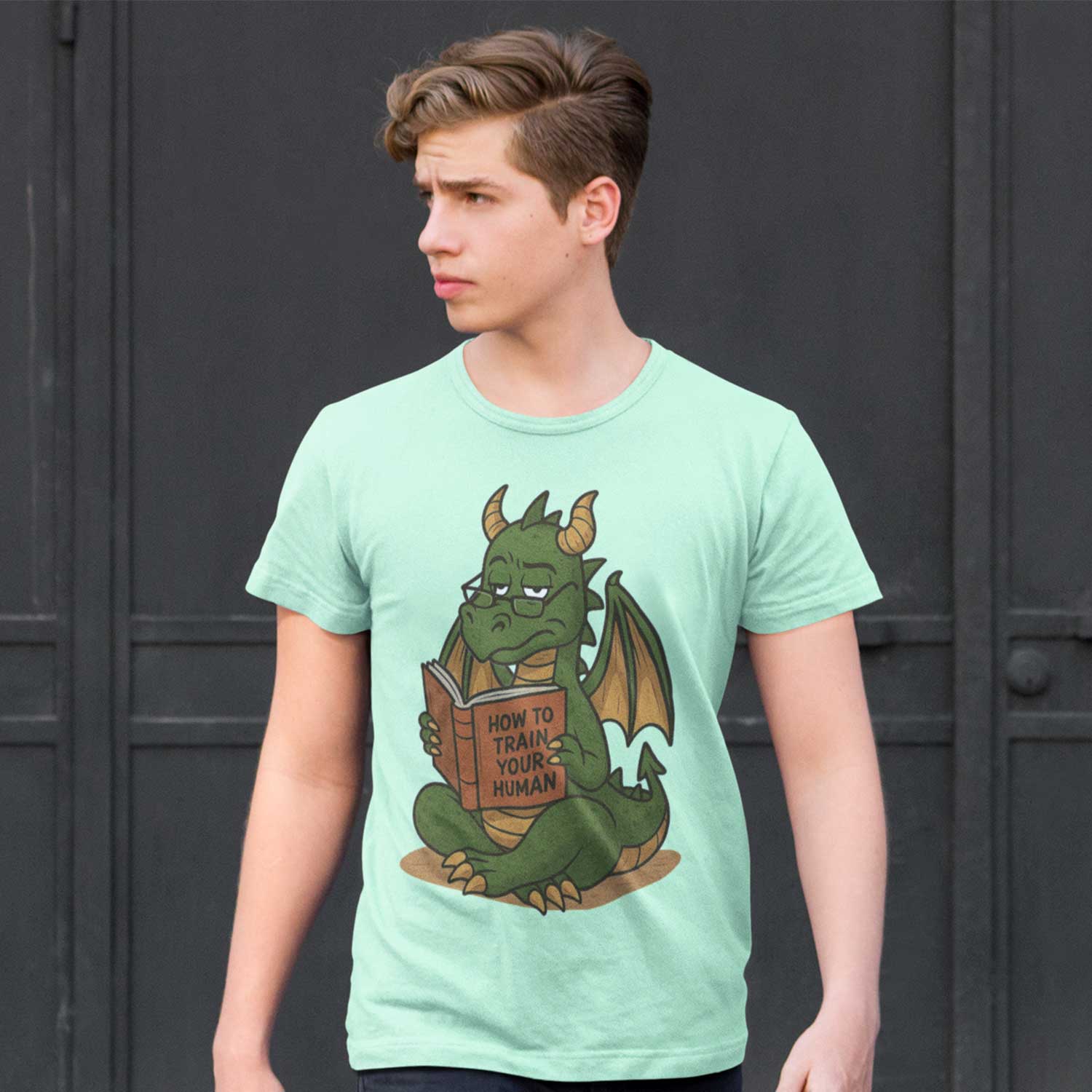 graphic how to train your human t-shirt printed graphic stylish buy online india the banyan tee tbt men women girls boys unisex jade 