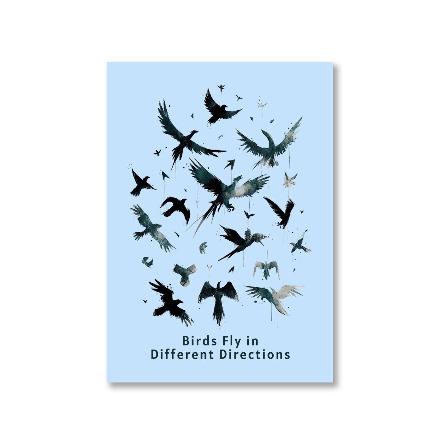 imagine dragons birds fly in different directions poster wall art buy online india the banyan tee tbt a4