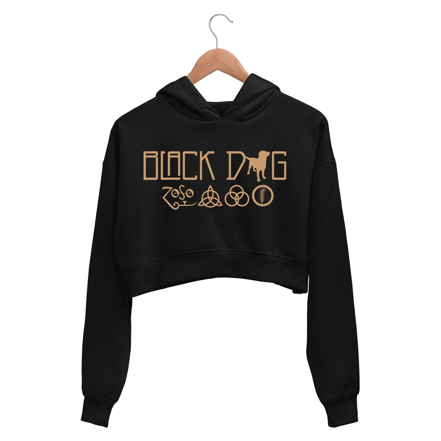 Led Zeppelin Crop Hoodie Crop Hooded Sweatshirt for Women The Banyan Tee TBT