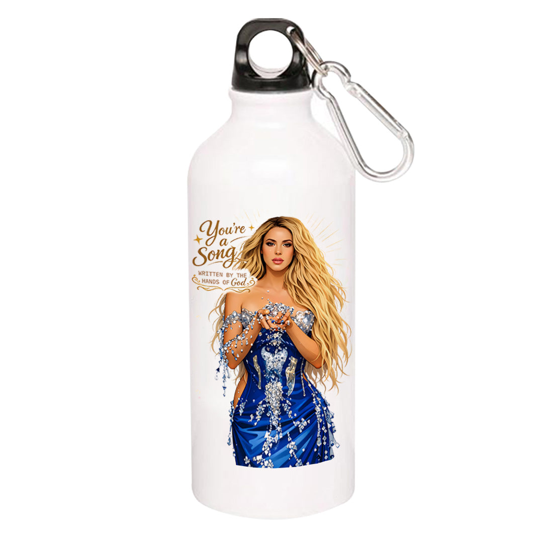 shakira you're a song sipper steel water bottle flask gym shaker music band buy online india the banyan tee tbt men women girls boys unisex  