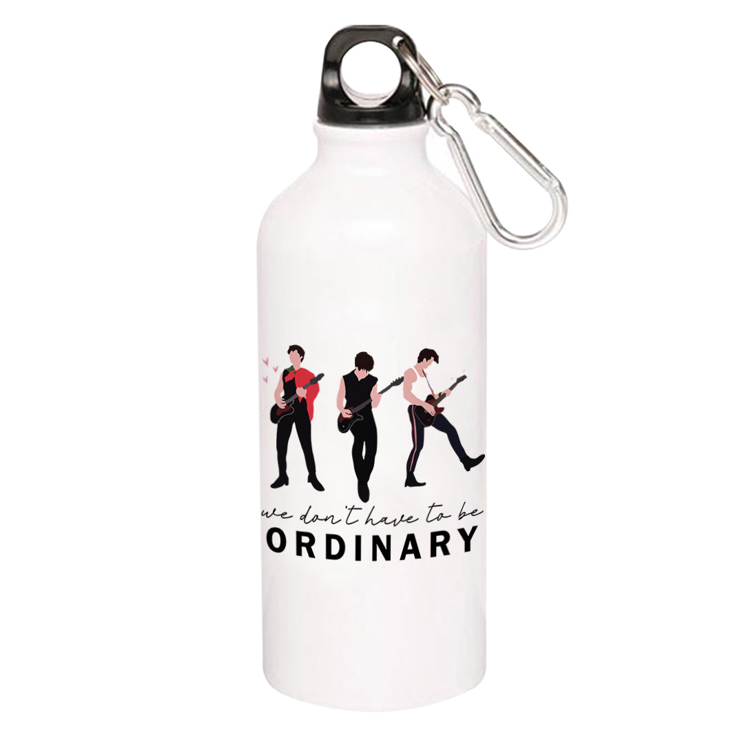 shawn mendes life of the party sipper steel water bottle flask gym shaker music band buy online india the banyan tee tbt men women girls boys unisex