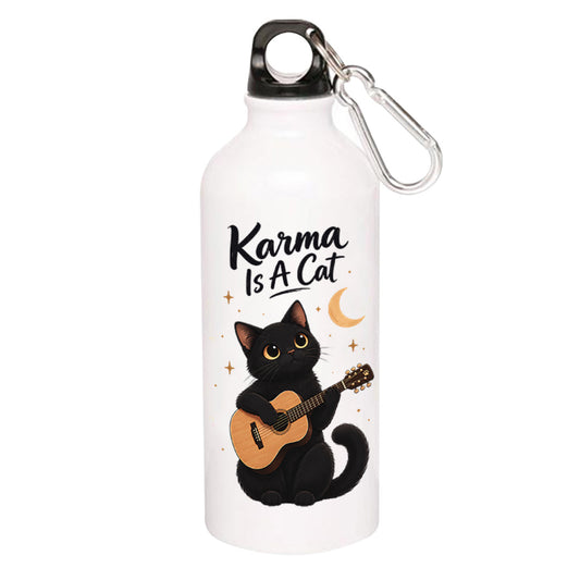 taylor swift karma cat sipper steel water bottle flask gym shaker music band buy online india the banyan tee tbt men women girls boys unisex  