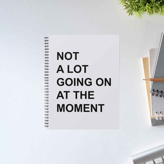 Taylor Swift Not A Lot Going On spiral notebook with bold black text 'Not a lot going on at the moment' on a light grey cover – unruled notepad diary, The Banyan Tee